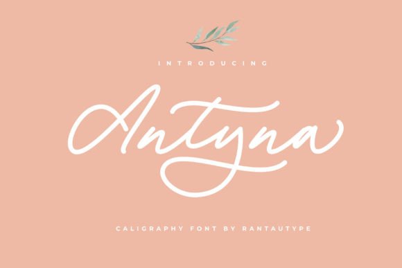 Antyna: A Font That Breathes Life Into Branding