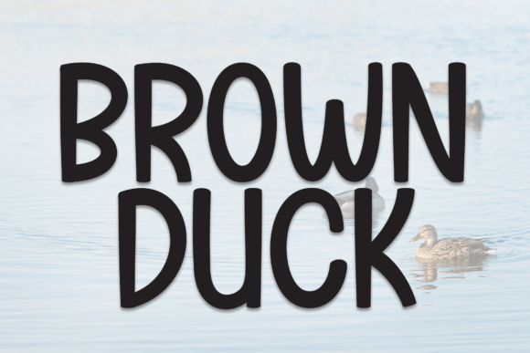 Brown Duck: A Font That Elevates Your Brand